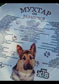 Мухтар. Он вернулся (2025)